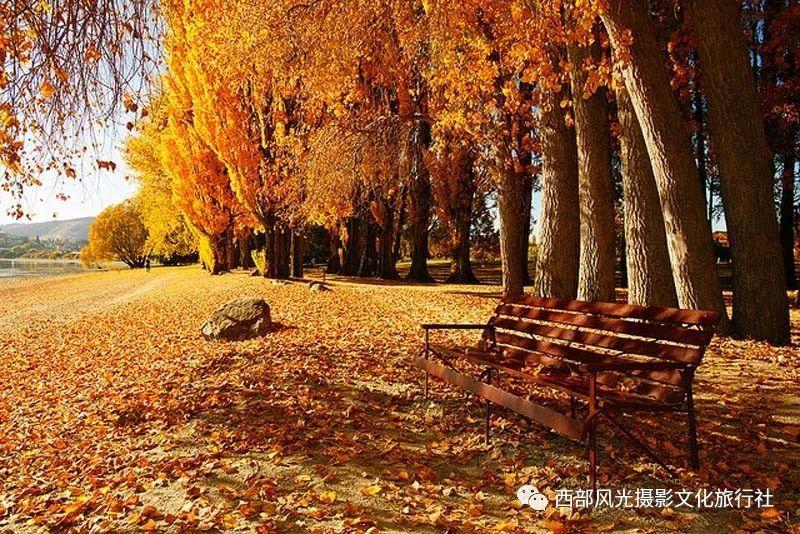 闺蜜分手了,她还想着他,我要劝她复合嘛?-专注于讨论分享的红迪网平台