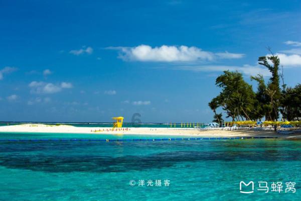 见习小魔女勇闯猪窝岛