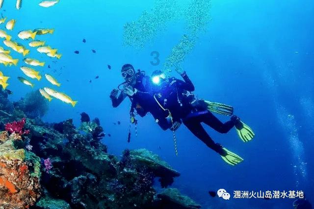 国际聚变联合物理实验在合肥科学岛进行