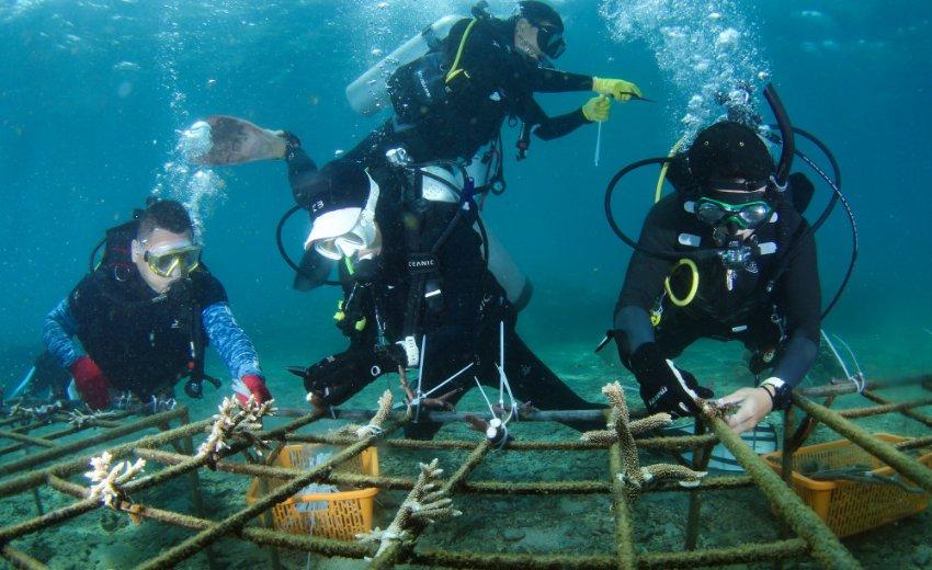 海上顶推首个航次启程,小清河开启河海直达新模式