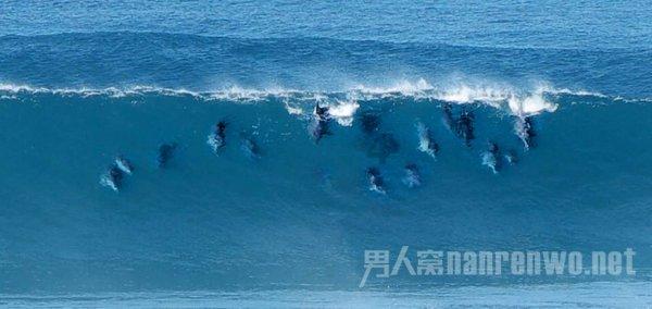 探索齐齐哈尔二十一中是封闭学校吗?,畅享知识星球的乐趣!