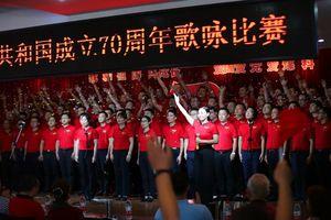 漂亮鹦鹉救援