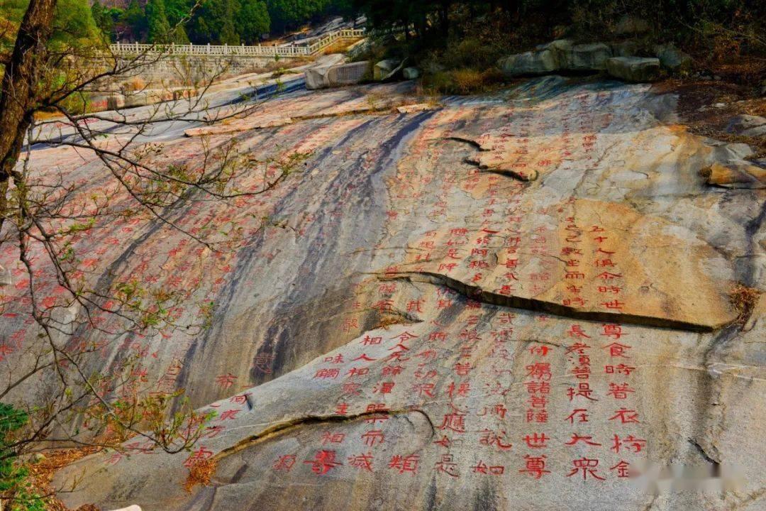 自动挡自学习怎么学习？游戏画面